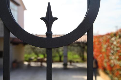  Lemon and Orange Apartments in Novigrad