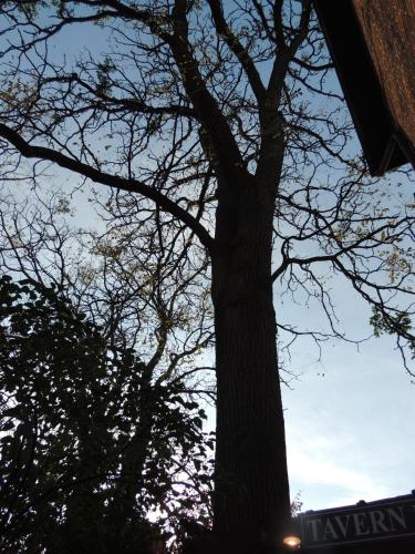 Farnsworth House Inn
