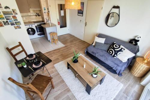 Le Salluste T2 cosy with balcony in Strasbourg, Strasbourg