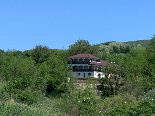 Pensiunea La Popas in Berca