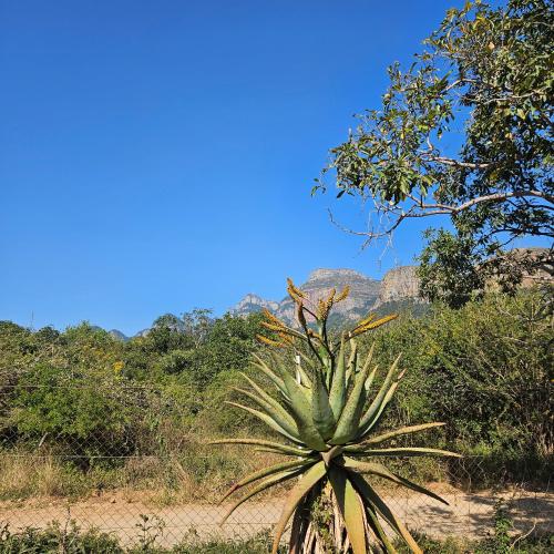 View, The Olive Room Plot 81 in Kampersrus AH