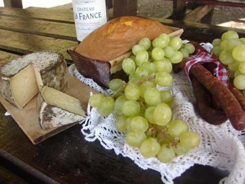 Golden Lion - image 9