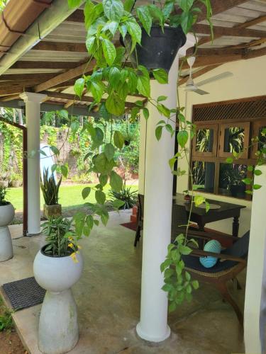 Green Valley Home stay in Unawatuna