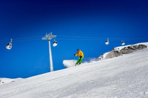 Pension Speckmoser - image 14