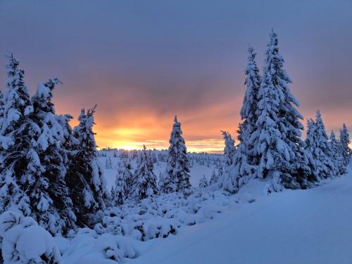 Sports and activities, Uplandhytta in Sjusjoen