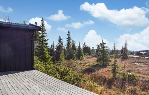 View, Uplandhytta in Sjusjoen