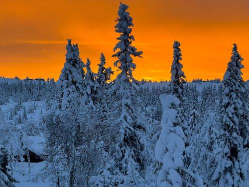 Attractions, Uplandhytta in Sjusjoen