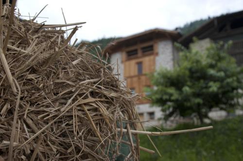  Agricampeggio Ai Gaggi, Unterkunft in Pellizzano