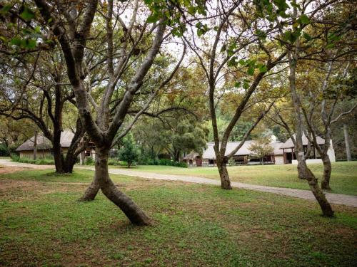 Jardí, Pinewood Cottages in Lanseria