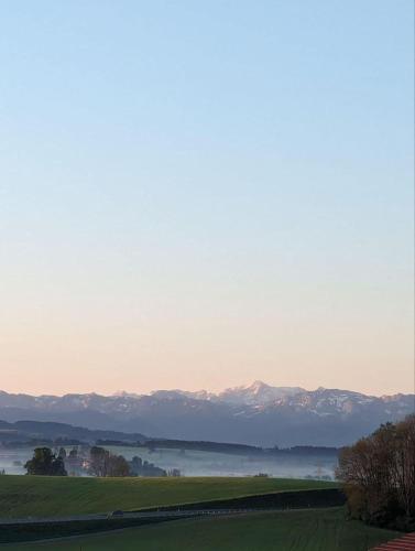 Skats, Große Ferienwohnung im Allgäu mit Bergblick, Garten & Balkon (Große Ferienwohnung im Allgau mit Bergblick, Garten & Balkon) in Apfeltrang