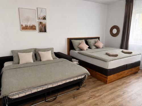 Apartmán u Fary-Harmony (Apartman u Fary-Harmony) in Adrspach