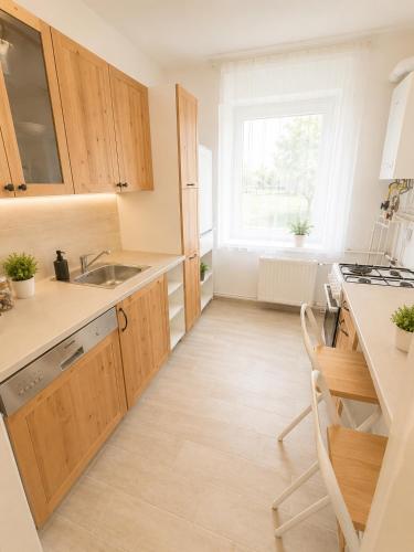 Κουζίνα, VeloVibe apartman in Μπαλατοναλμάντι