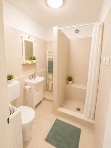 Μπάνιο, VeloVibe apartman in Μπαλατοναλμάντι