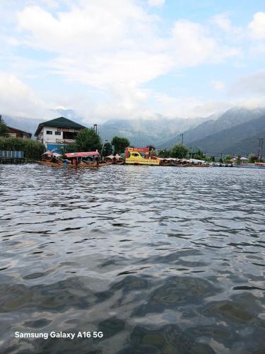 Hotel New Green View (a part) in Srinagar
