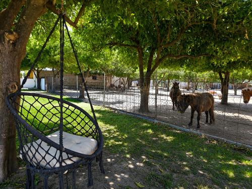 Quinta da Ponte das Hortas 2 in אלבס
