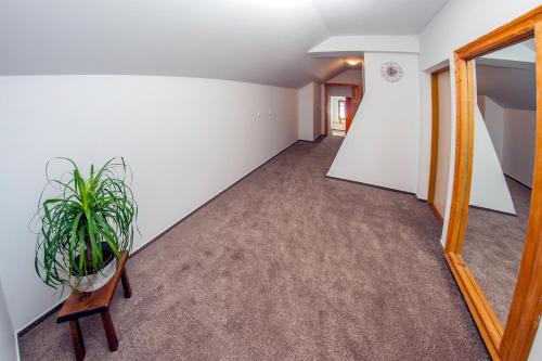 Facilities, Apartman Kamenny Dum in Jilemnice