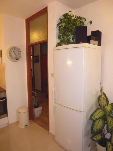 Apartment Sime