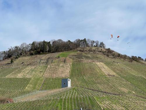 Apartment am Weinberg in Korb