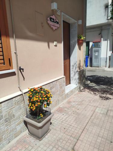 CAMARDA HOME 3