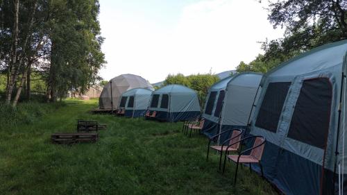 Namioty w lesie in Milkow