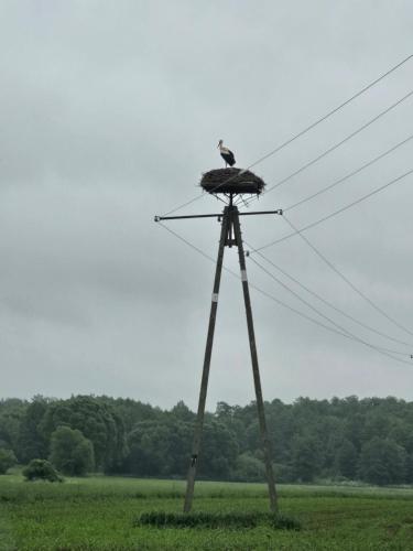 Słoneczne Łąki (Sloneczne Laki) in Łosice