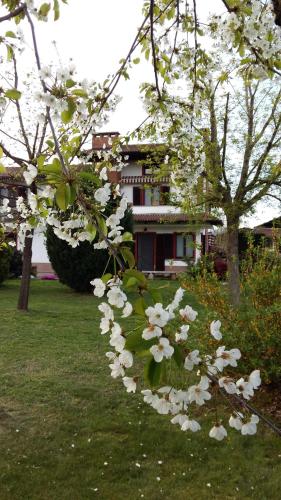  I 99 ulivi, Pension in Cavour