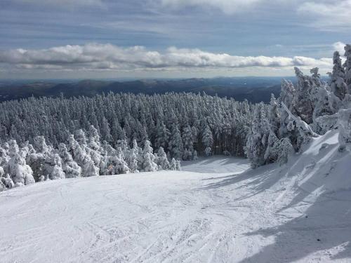 Bluebird Cottage - Three Min to Sugarbush Resort - image 8