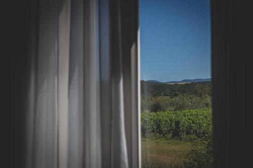 Hotel Residence Vallecorsa in Vada