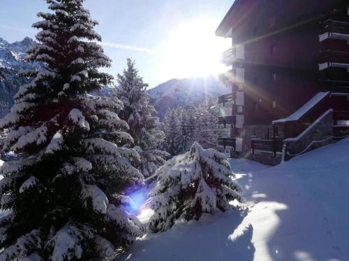 Appartement 3 pieces avec balcon, wifi et animaux acceptes a Meribel - FR-1-355-201 in Meribel Mottaret