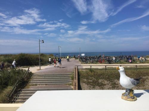 Duindoorn – khách sạn tại Egmond Aan Zee