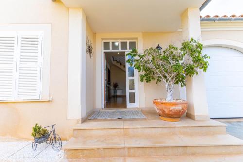 Villa Mariela by NPMallorca in Sa Coma
