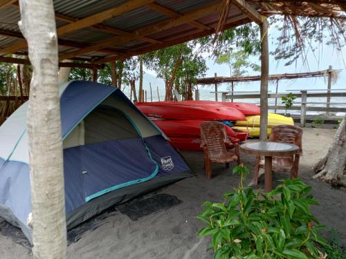 Dreamland Tour in Altagracia