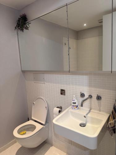 화장실, Yoo Bulgaria Apartment D105 in 옵져