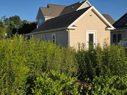 숙소 외관, Garden Guest Cottage in 애시비 하이츠