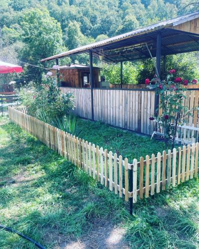 Aygut Garden in Kalavana