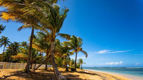 pludmale, Luquillo Beach Escape - Where Paradise Feels Like Home - Steps To The Beach! in Lukvillo