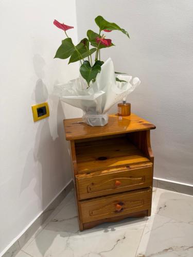 Vila Kamberaj - image 5