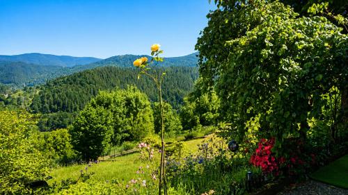 Ferienwohnung Panoramablick Bermersbach in Forbach, Deutschland