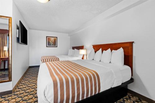 Best Western Vista Inn at the Airport - image 2