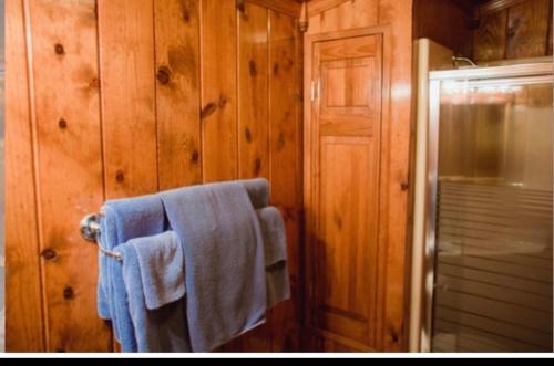 Covered Bridge Motel - image 12