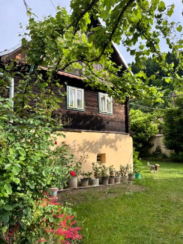 Casa Florica wooden house in Gura Raului