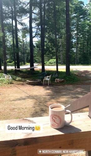 Adorable Aframe in the White Mountains in Hales Location (NH)