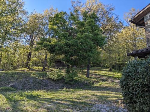 Kert, Exclusive Holiday Villa with Private Pool between Marche and Umbria in Apecchio