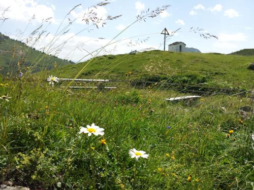 Iekārtas, Pension Edelweiss in Damuls