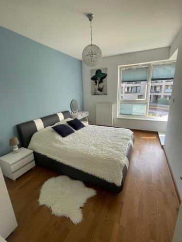 Royal Home Wilanow-apartament w sercu Wilanowa - Warsaw