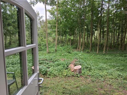 de Zeilende kraay in Arnhema