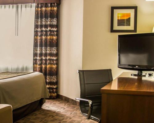 Comfort Inn Birch Run - image 11