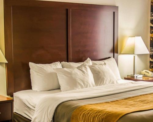 Comfort Inn Birch Run - image 13