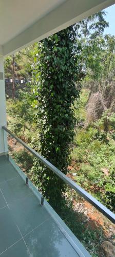 Balu Resorts in Ariyurnadu