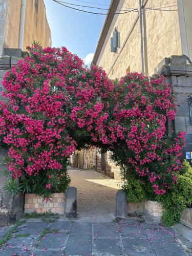 Grande chambre in Agde City Center